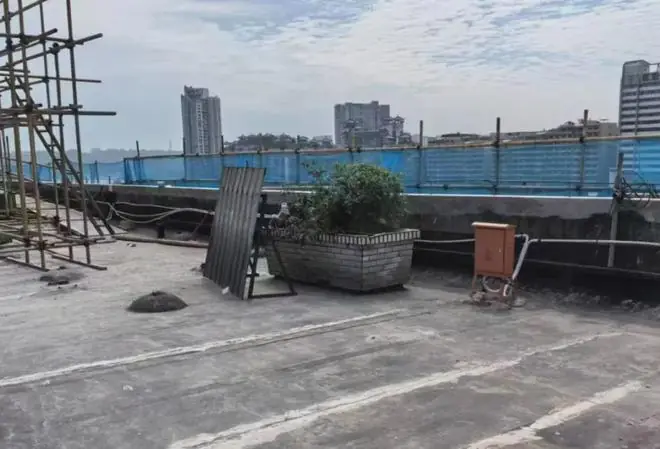 顶楼花坛（受访者供图）