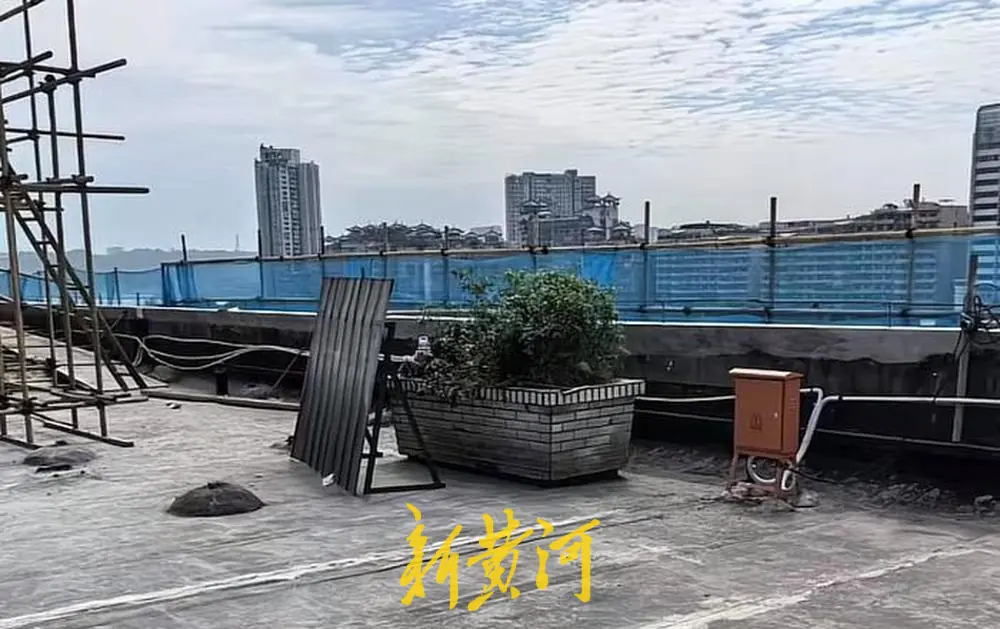 曾经天台花坛的照片